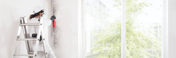Best Emergency Mold Remediation  in Sylvan Lake, MI