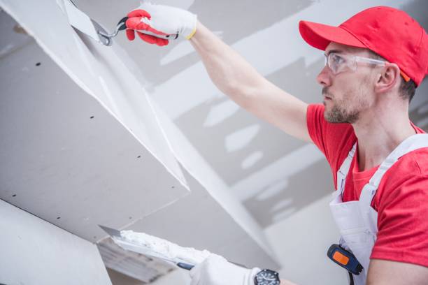 Best Mold Documentation for Insurance Claims  in Sylvan Lake, MI