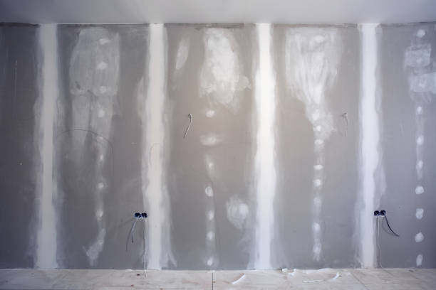 Best Water Damage & Mold Remediation  in Sylvan Lake, MI